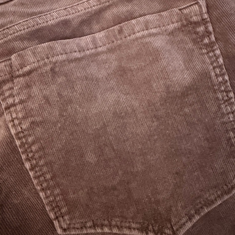 LOFT Taupe Corduroy Trousers - Picture 3 of 5